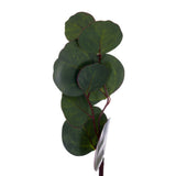 Vickerman Artificial Green Silver Dollar Populus Eucalyptus Garland
