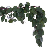Vickerman Artificial Green Silver Dollar Populus Eucalyptus Garland