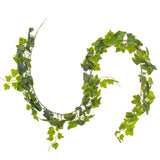 Vickerman 71" Fresh Touch Artificial Green Frosted Ivy Vine Set of 3, 71"