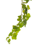 Vickerman 71" Fresh Touch Artificial Green Frosted Ivy Vine Set of 3
