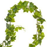 Vickerman 71" Fresh Touch Artificial Green Frosted Ivy Vine Set of 3
