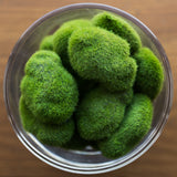 Vickerman Artificial Moss Covered Rocks, 36 per Bag