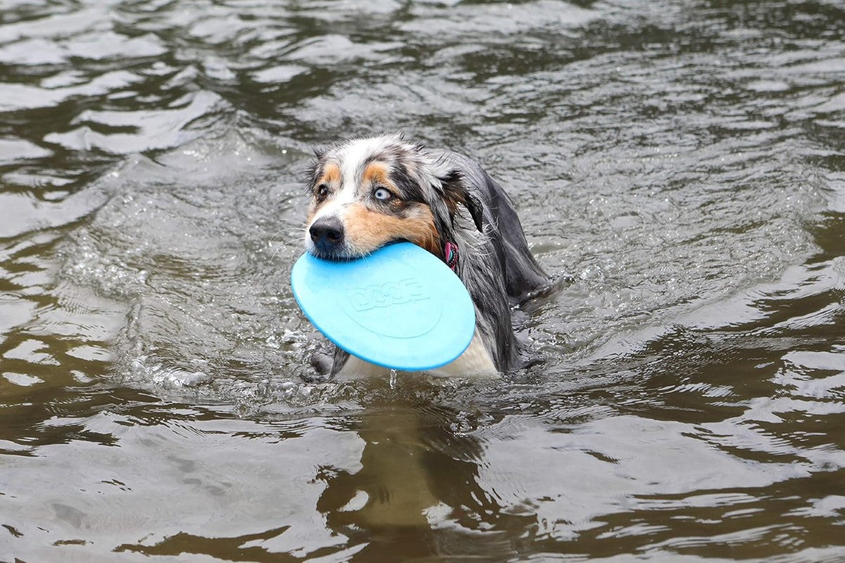 DOOG Pet Products Fetch-ables Fetch-A-Disc Dog Toy