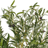 Vickerman Artificial Green Olive Tree in Pot