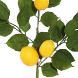 Vickerman Artificial Green and Yellow Salal Leaf Lemon Garland