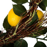 Vickerman Artificial Green and Yellow Salal Leaf Lemon Wreath