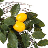 Vickerman Artificial Green and Yellow Salal Leaf Lemon Wreath