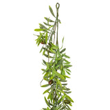 Vickerman 6' Artificial Green Olive Hill Garland