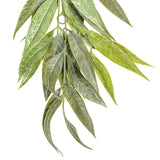 Vickerman Artificial Green Muddy White Willow Garland
