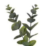 Vickerman Spiral Eucalyptus Wreath