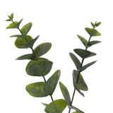 Vickerman Spiral Eucalyptus Garland