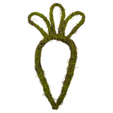 Vickerman 23"H x 12"W Carrot Outline Wreath, Green / Brown