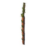 Vickerman Carrot Wreath