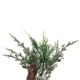 Vickerman Snow Cedar Garland