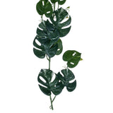 Vickerman Green Monstera Garland