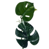 Vickerman Green Monstera Garland