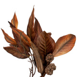 Vickerman Brown Artificial Magnolia Leaf Wreath