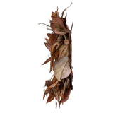 Vickerman Brown Artificial Magnolia Leaf Wreath