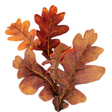 Vickerman Orange Autumn Artificial Oak Leaf Garland
