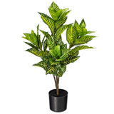 Vickerman Artificial Alocasia Zebrina Potted