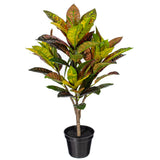 Vickerman Artificial Croton Potted Plant