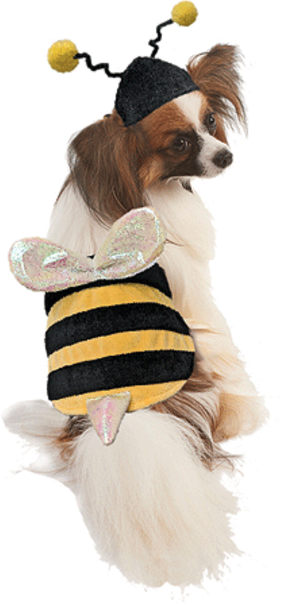 Fashion Pet Halloween Dog Costume Bumble Bee