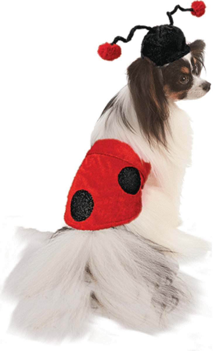 Fashion Pet Halloween Dog Costume Ladybug