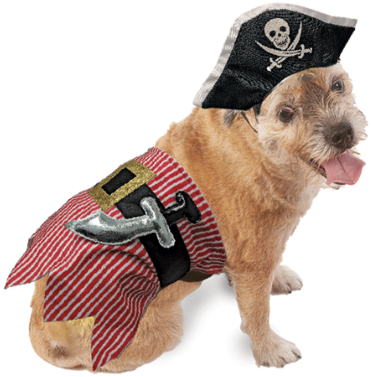 Fashion Pet Halloween Dog Costume Pirate