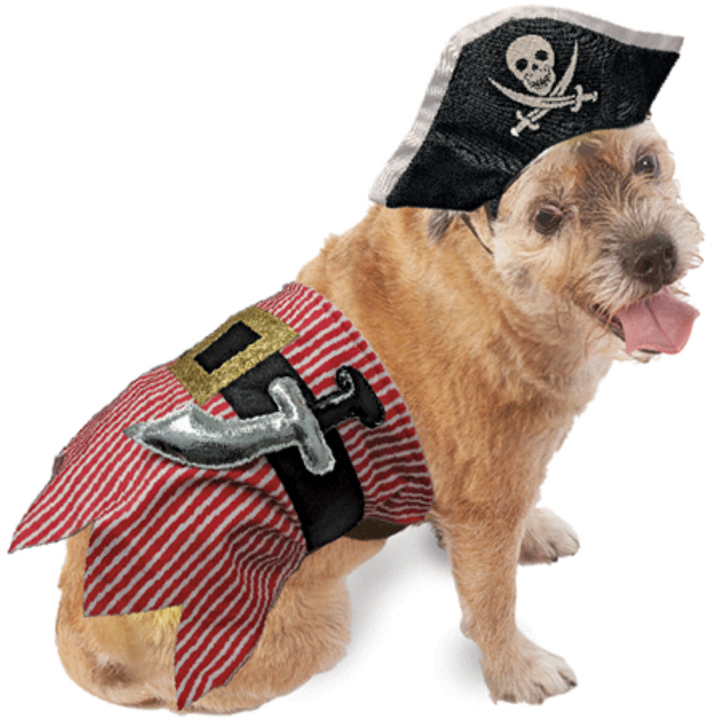Fashion Pet Halloween Costume - Pirate