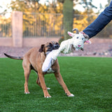 Fat Tail Squeaky Plush Tug Dog Toy