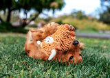 Multipet Floppy Highland Cow Plush Dog Toy - 10"