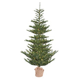 Vickerman Alberta Spruce Artificial Christmas Tree, 4', Warm White Mini Light