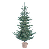 Vickerman Alberta Blue Spruce Artificial Christmas Tree, 4', Unlit