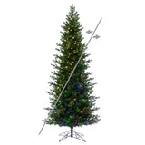 Vickerman Eagle Frasier Fir Artificial Christmas Tree, 6.5' x 34", Color Changing 3mm LED