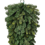 Vickerman Welch Fraser Fir TearDrop