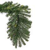 Vickerman Welch Fraser Fir Garland