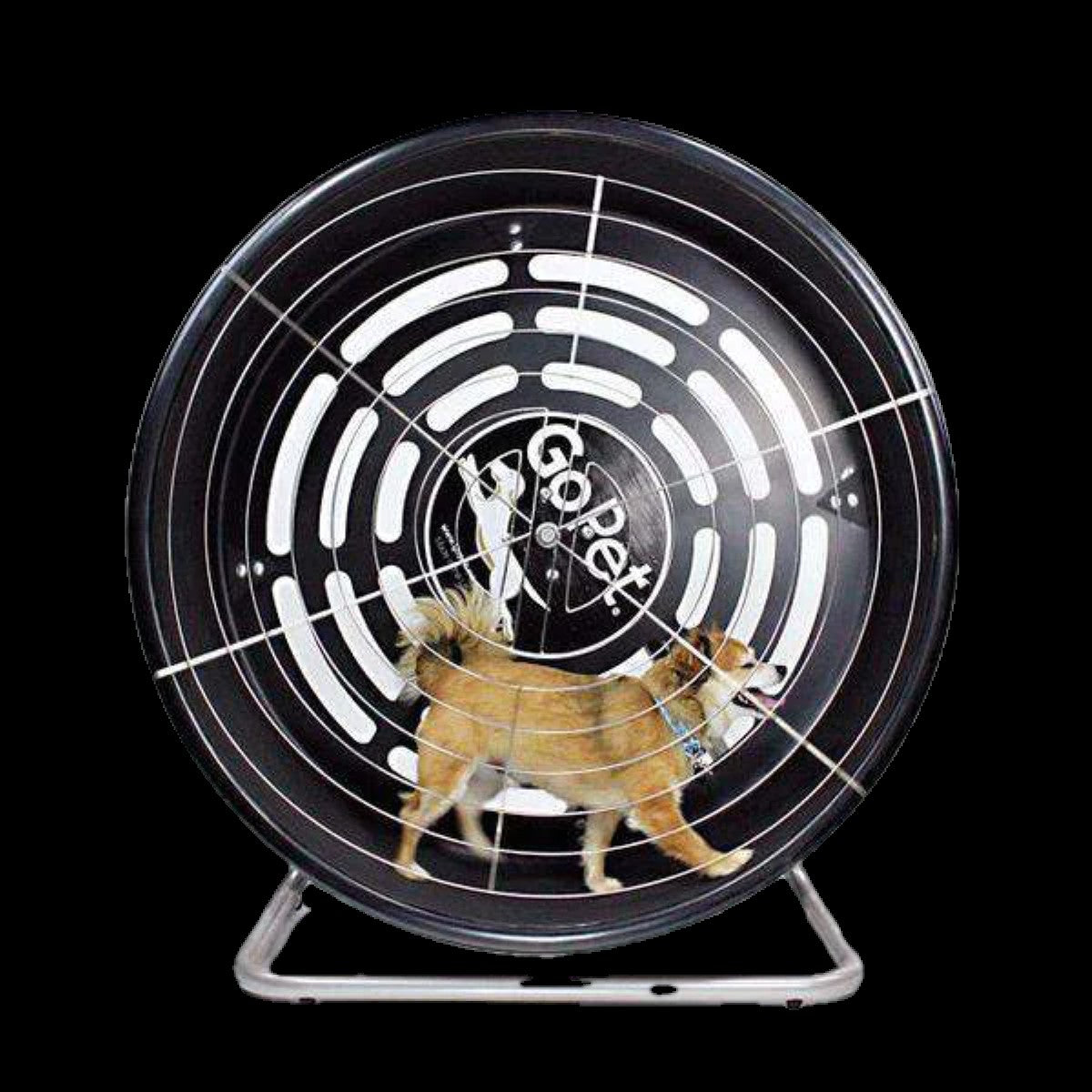 GoPet TreadWheel for Dogs Cats Sizes Available - Main Image