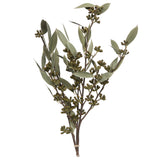 Vickerman Natural Botanicals 15-17" x 8" Amber Fruit Foliage, 15-17" x 8"