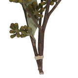 Vickerman Natural Botanicals 15-17" x 8" Amber Fruit Foliage