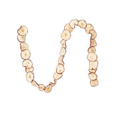 Vickerman 10' Natural Dried Apple Garland, 10'