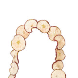 Vickerman 10' Natural Dried Apple Garland