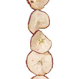 Vickerman 10' Natural Dried Apple Garland