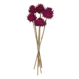 Vickerman Natural Dried Artichoke Head attached to a Reed Stem, Dried, Raspberry