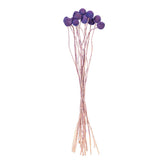 Vickerman 16-20" Natural Dried Craspedia Bunch, Lavender