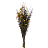 Vickerman 15-20" Bell Grass with Seed Pods, Preserved, Basil