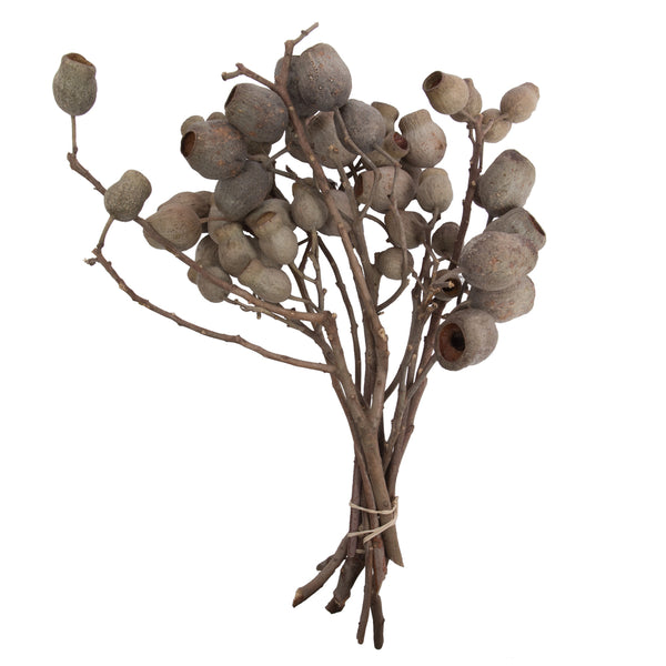 Vickerman Vickerman 11" Bellgum Branch