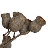 Vickerman 11" Bellgum Branch