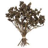 Vickerman Natural Botanicals 11" x 2-4" Conical Gum Branch, Natural