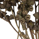 Vickerman Natural Botanicals 11" x 2-4" Conical Gum Branch