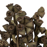 Vickerman Natural Botanicals 11" x 2-4" Conical Gum Branch